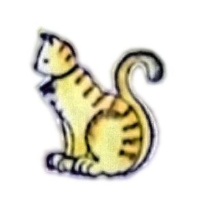 Cats and Dogs