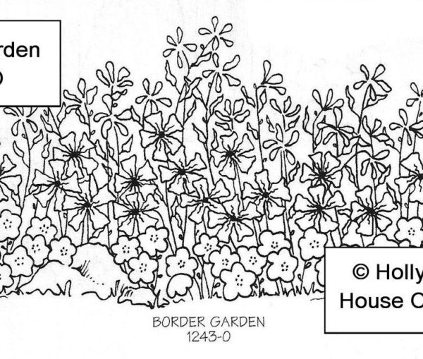Border Garden Flowers