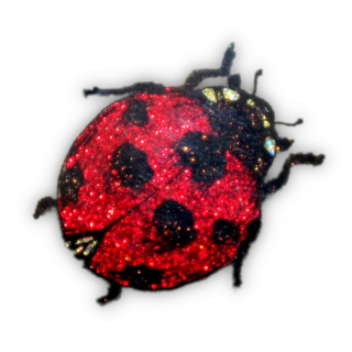 Bugs, Beetles, & Butterflies