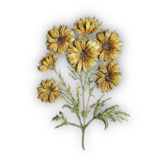 Botanicals and Florals
