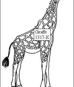 Giraffe