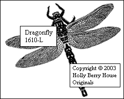 Dragonfly
