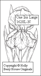 One Iris