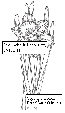 One Daffodil (Left)