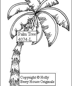 Palm Tree