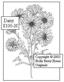 Daisy