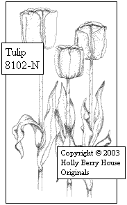 Tulip