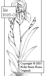 Iris
