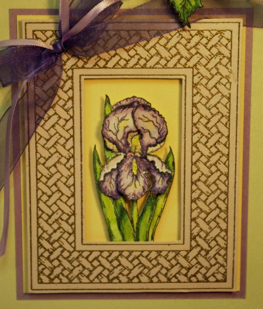One Iris - Image 2